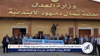 نقابة المحامين بالبحيرة تنظم وقفة احتجاجية أمام محكمة دمنهور للمطالبة بالعدول عن رفع الرسوم القضائية (صور)