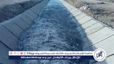 عاجل:- الدولة تؤهل آلاف الكيلومترات من الترع لدعم الزراعة