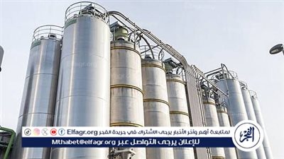 محافظ الدقهلية: المساحة المنزرعة من القمح هذا الموسم تبلغ 231437 فدانا والمتوقع حصاده 625 ألف طن 