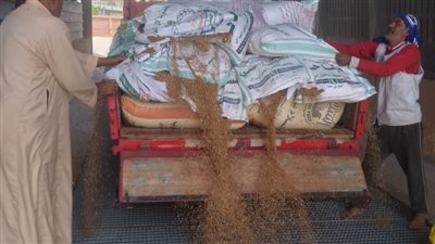 محافظ المنوفية: بدء موسم توريد القمح لهذا العام ويؤكد الجاهزية الكاملة للصوامع والشون