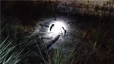 حبس 3 متهمين في واقعة العثور على جثة فتاة متفحمة داخل سجادة بأوسيم