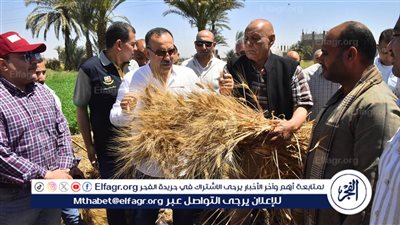 محافظ أسيوط يشهد بدء موسم حصاد القمح بإحدى الحقول بقرية درنكه وسط فرحة المزارعين