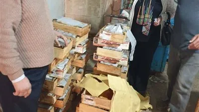 بيطرى الشرقية يضبط أكثر من 8 طن أسماك مجمدة مخالفة في الصالحية الجديدة