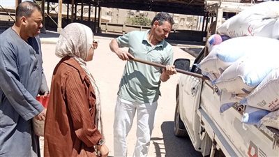 مع تقديم كافة التسهيلات.. مواقع التخزين تبدأ في استقبال القمح المحلي من مزارعي الجيزة