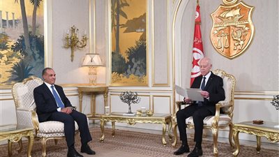 وزير الخارجية والهجرة يسلم رسالة خطية من 