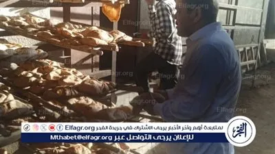محافظ المنيا يوجه بتكثيف الحملات الرقابية على الأسواق والمخابز