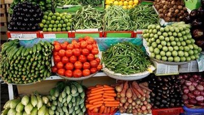 أسعار الخضروات اليوم الأحد 20 أبريل 2025 في أسواق الأقصر