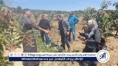 جامعة قناة السويس تطلق قافلة طبية شاملة إلى مدينة أبو صوير لخدمة الأهالي