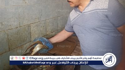  حفاظا على صحة المواطنين..تموين شرق بالإسكندرية يضبط فسيخ ورنجة مجهولة المصدر