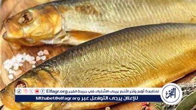 هيئة الدواء المصرية تحذر من أضرار الإفراط في تناول الفسيخ والرنجة خلال موسم شم النسيم