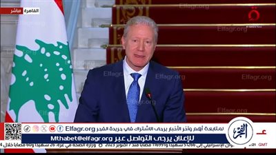 وزير الخارجية اللبناني: نثمن الدعم لمصري لبلادنا على كافة المستويات (فيديو)