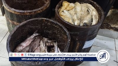 تموين المنتزة بالإسكندرية تشن حملات تفتيشية على أسواق الأسماك المملحة
