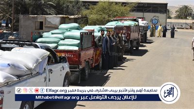 محافظ أسيوط: توريد 9356 طنًا من حصاد القمح للشون والصوامع حتى اليوم 