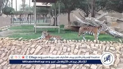 تعرف علي موعد افتتاح حديقة الحيوان بالجيزة بعد تطوير شامل وربطها بالأورمان