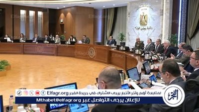 الحكومة تُقر اللائحة التنفيذية لقانون حيازة الحيوانات الخطرة والكلاب.. ضوابط صارمة وتنظيم شامل