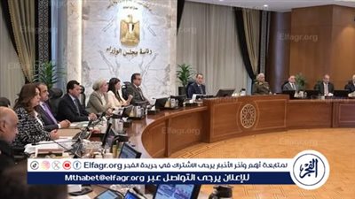 عاجل - مجلس الوزراء يوافق على تمديد تأشيرة الترانزيت المجانية لمدة عام إضافي 