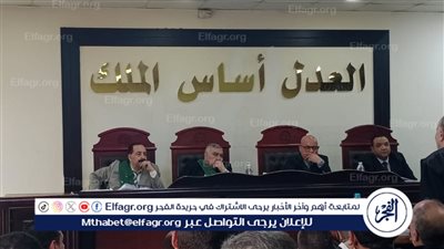 جنايات دمنهور تقضي بالإعدام شنقا لـ 3 متهمين أنهوا حياة سائق لسرقة سيارته في البحيرة