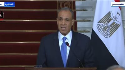 عبد العاطي يؤكد لنظيره الإيطالي: مصر لن تسمح بالمساس بحصتها في المياه