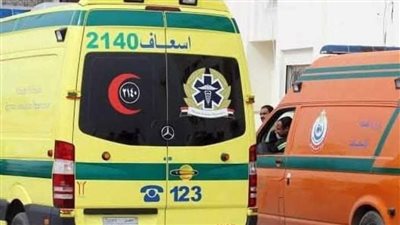 حادث سير لمدير عام مستشفيات أسوان الجامعي وزوجته وابنتيه بقنا