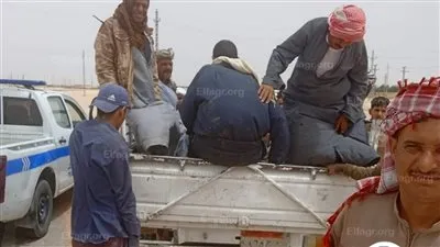 ضبط سيارة ربع تُقل 28 عاملًا زراعيًا بطريقة مخالفة في المنيا