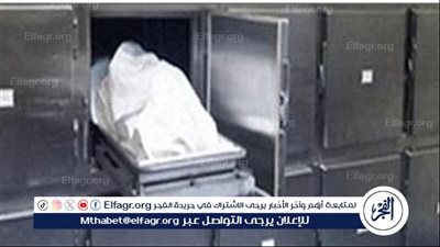 سيدة تذبح طفل بطريقة وحشية في الإسماعيلية ( تفاصيل)