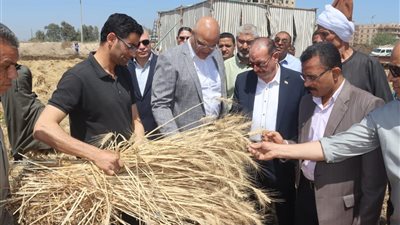 محافظ القليوبية يتفقد صوامع القمح ويؤكد المحصول مبشر والإنتاجية وفيرة