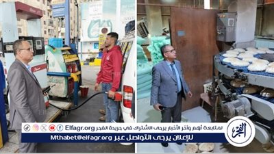 محافظ الدقهلية:ضبط أكثر من نصف طن جبن ودقيق وأسماك وتحرير231 مخالفة في حملة تموينية