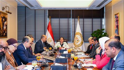 وزيرا البيئة والكهرباء يبحثان سبل العمل المشترك والتنسيق والتعاون فى قضايا البيئة