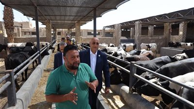 رئيس جهاز تنمية المشروعات ومحافظ الفيوم يتفقدان مشروعات شباب المحافظة