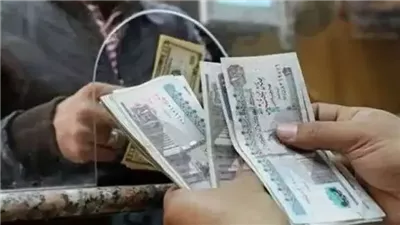 زيادات للموظفين.. نسب العلاوات والحوافز والحد الأدنى للأجور للقطاع الحكومي