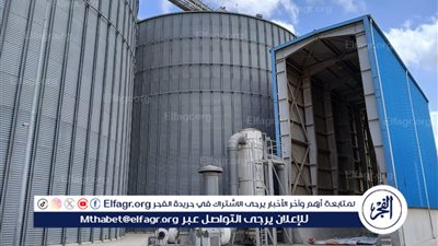 موسم بشاير الخير بالإسكندرية..  توريد 1251.801 طن من الأقماح المحلية 