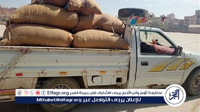 توريد 77 ألف طن من القمح للشون والصوامع ضمن موسم حصاد 2025