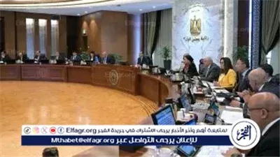 عاجل:- الحكومة تقرر تشكيل لجنة عليا لتطبيق منظومة المخاطر الشاملة للإفراج عن البضائع