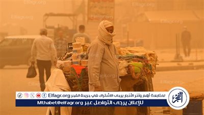  التنمية المحلية: محافظة مطروح الأكثر تضررا جراء العاصفة الرملية (فيديو)