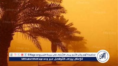 محافظ أسيوط يكشف عن استعدادات المحافظة للعاصفة الترابية (فيديو)