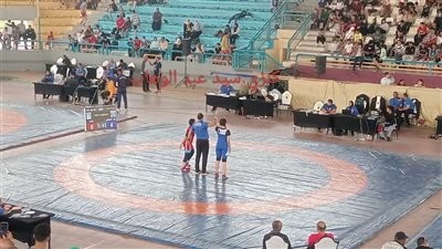 طالبة بالفيوم تحصد الثالث جمهوري ومشاركة ضمن تجارب منتخب مصر للمصارعة في بطولة إفريقيا