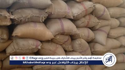 محافظ المنيا: توريد أكثر من 100 ألف طن قمح حتى الآن ضمن موسم حصاد 2025