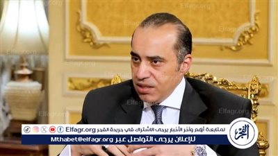وزير الشؤون النيابية: الحكومة في الدستور لا تعتبر مسؤولة أمام مجلس الشيوخ