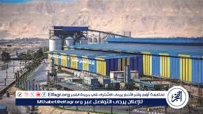 رفيق الضو: مصنع السويس للصلب قصة نجاح حقيقية تُجسد كفاح المصريين