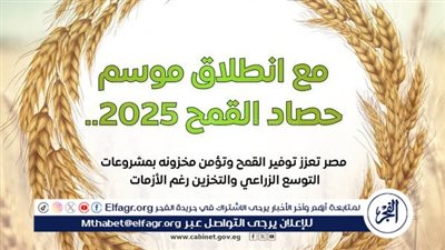 الحكومة: مشروع قومي للصوامع يضاعف السعة التخزينية ويقلل فاقد القمح في مصر