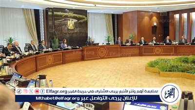 بحضور محافظ الدقهلية: رئيس الوزراء يترأس الاجتماع السابع لمجلس المحافظين.. تفاصيل