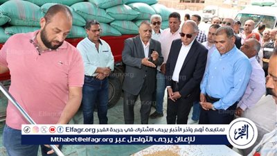 من داخل صومعة نفرتيتي بدماريس محافظ المنيا يتابع انتظام أعمال توريد محصول القمح لعام 2025،
