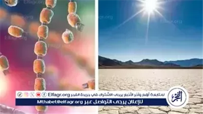 تغير المناخ يطلق العنان لفطر قاتل يهدد حياة ملايين الأشخاص