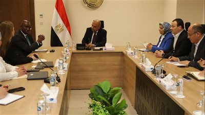 وزير الكهرباء يبحث مع مؤسسة التمويل الدولية 