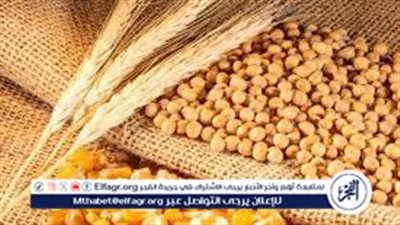 وزير الزراعة يكشف خطة تحقيق الاكتفاء الذاتي من القمح وتعزيز الصادرات لإفريقيا