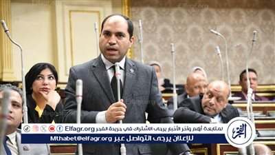 برلماني: قانون الإيجار القديم سيُصدر قبل نهاية دور الانعقاد وهذا الهدف منه 