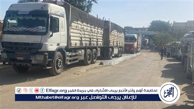 محافظ أسيوط: توريد 56 ألف طن قمح حتى اليوم