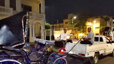 محافظ الأقصر يوجه بالتحفظ على عربة حنطور مخالفة