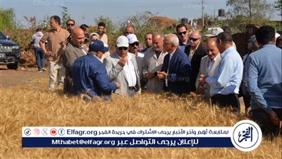 محافظ الدقهلية يلتقي المزارعين وسط الحقول ويؤكد: نحتل المركز الثالث على الجمهورية في إنتاج القمح 