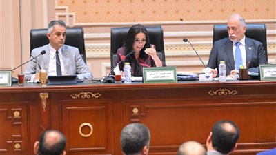 وزيرة التضامن الاجتماعي: 